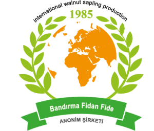 Bandırma Fidan Fide Inc.